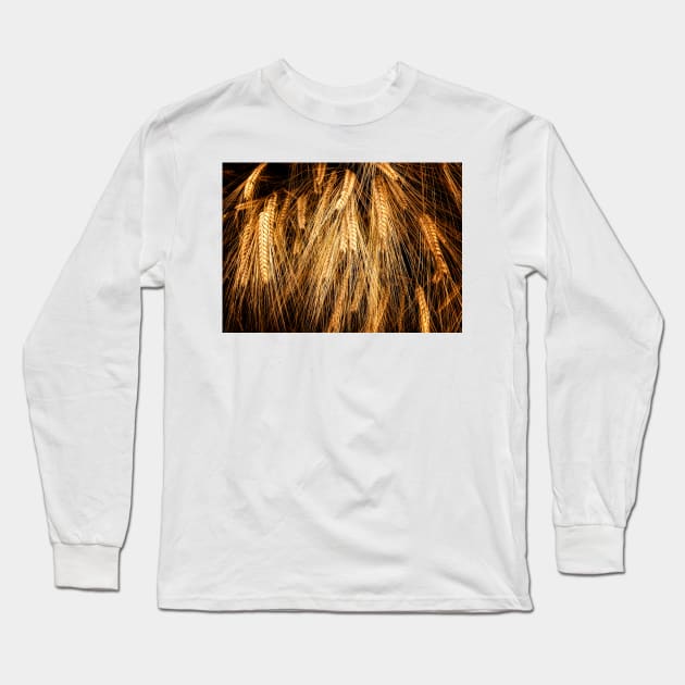 Wheat Long Sleeve T-Shirt by Nigdaw